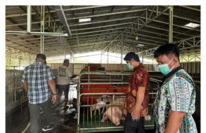 Ko Lim Ajak Camat Talawaan Buktikan Peternakannya Tak Mencemari Lingkungan: Pengelolaan Limbah Sudah Sesuai Klasifikasi