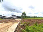 Petani Desa Bantik Menjerit !! Kebun Puluhan Tahun Dihabisi Proyek Kandang Babi Milik PT Nusa Andika