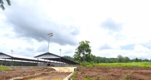 Petani Desa Bantik Menjerit !! Kebun Puluhan Tahun Dihabisi Proyek Kandang Babi Milik PT Nusa Andika