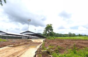 Petani Desa Bantik Menjerit !! Kebun Puluhan Tahun Dihabisi Proyek Kandang Babi Milik PT Nusa Andika